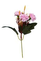 Carnation flower bouquet element photo