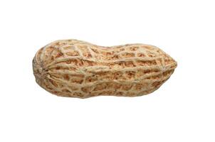 whole peanut isolated photo