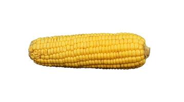 whole corn isolated photo