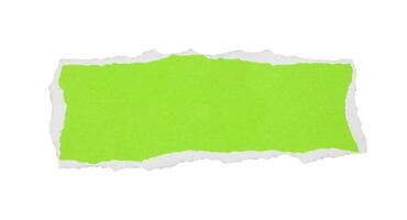 green torn paper copy space photo