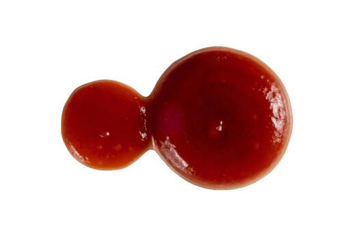 gota salsa de tomate aislado foto