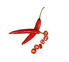 slice of chili isolated element photo