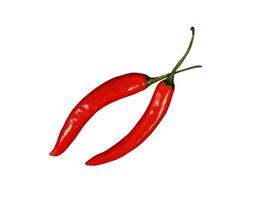 whole red hot chili isolated photo