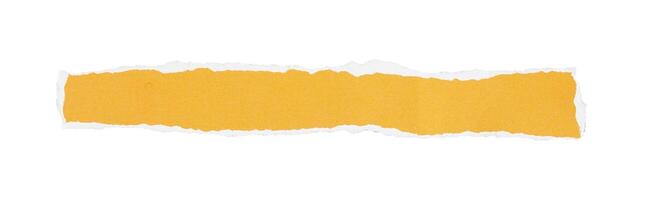ripped paper isolated element photo