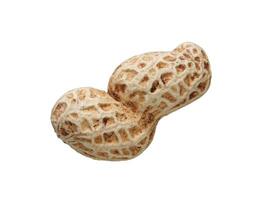 whole peanut isolated photo
