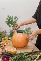Creating a floral composition in a pumpkin. Making decor with your own hands. photo
