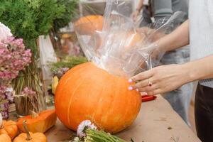 Creating a floral composition in a pumpkin. Making decor with your own hands. photo