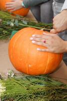 Creating a floral composition in a pumpkin. Making decor with your own hands. photo