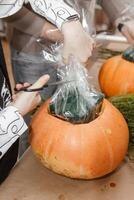 Creating a floral composition in a pumpkin. Making decor with your own hands. photo