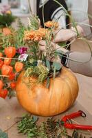 Creating a floral composition in a pumpkin. Making decor with your own hands. photo