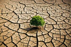 Barren expanse - cracked desert illustrating effects of global warming. photo