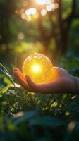 Holding a glowing sphere of light in a lush green forest during sunset photo