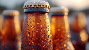 Refreshing amber beer bottle on a wet wooden surface during sunset photo