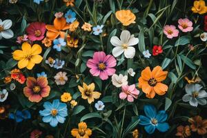 Colorful wildflowers blooming on lush green grass in a serene outdoor space during springtime photo