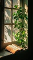 Natural light shines on an open book beside a lush green plant in a cozy window nook photo