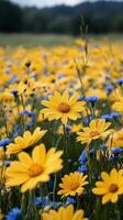 Vibrant yellow and blue wildflower field in late spring with lush green background photo