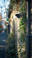 Vintage street lamp illuminates urban building facade during evening hours photo