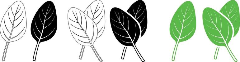 outline silhouette spinach leaf icon set vector