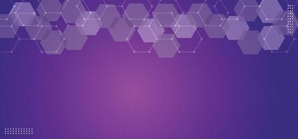 Modern gradient purple and gray hexagon geometric pattern background vector