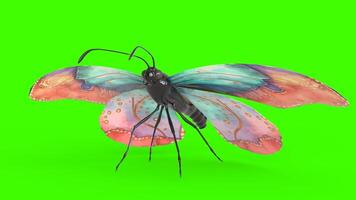 colorful butterfly with green background photo