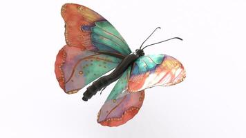 colorful butterfly with white background photo
