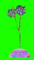psychedelic space carnations with green background photo
