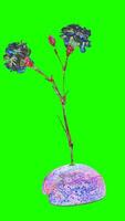 psychedelic space carnations with green background photo