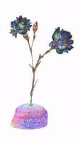 psychedelic space carnations with white background photo