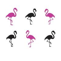 Silhouette of Different Pose of Flamingo Birds vector