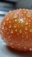 Fresh ripe tomato with dew drops on vine in a lush garden setting photo