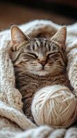 Cat snuggled in cozy blanket with yarn ball in warm indoor setting during a quiet afternoon photo