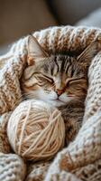 Cat snuggled in cozy blanket with yarn ball in warm indoor setting during a quiet afternoon photo