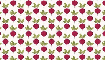 Beetroot vegetable pattern on white background. illustration. vector