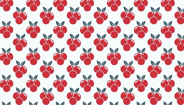 Pattern with cranberry. Fruit illustration in retro style.