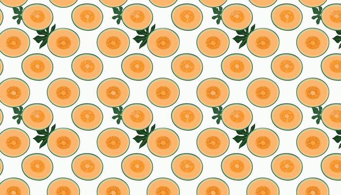Cantaloupe melon pattern illustration.