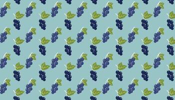 Pattern with currant berries on blue background illustration. vector