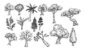 tree type handdrawn collection vector