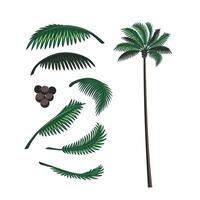 part of a coconut tree, coconut leaves with retro colors vector