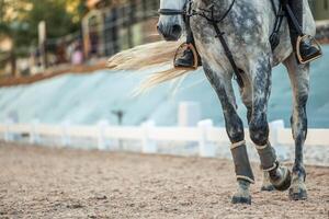 Close-up of an unrecognizable horse being ridden by its rider in the equestrian arena photo