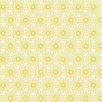 Geometric Circular Pattern with Intersecting Lines and Curves for Decorative Lattice vector