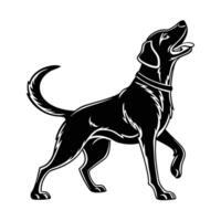 black and white illustration of a dog in a dynamic pose. vector