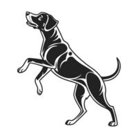 black and white silhouette of a hunting dog, likely a breed like a Labrador or Pointer, standing alert and poised. vector