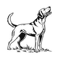 This striking black and white graphic depicts a Border Collie in a dynamic, alert pose. vector