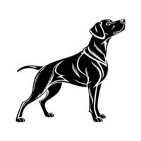 Stylish black and white illustration of a dog in a dynamic pose. vector