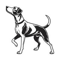stylized illustration of a hunting dog, likely a Pointer, in a dynamic stance. vector