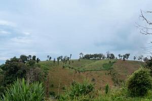 Hilly landscape with patches of green vegetation and dry, brown areas. Trees sparsely dot the hillsides under a cloudy sky. At Tak Thailand. photo
