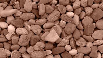 Background made of Sea or river pebbles. Natural texture of beach pebbles. Color Of The Year 2025 - Mocha Mousse photo