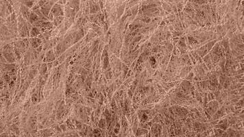 Shredded paper texture, filling for gift box, stuffing and shipping. Brown decorative straws fillers for product placement. Paper trash texture. Selective focus. Mocha Mousse, Color of the Year 2025. photo