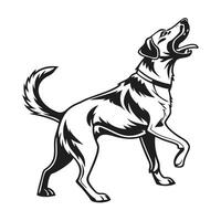 A bold, graphic black and white illustration of a sporting dog, likely a Brittany Spaniel, in a dynamic, alert pose. vector