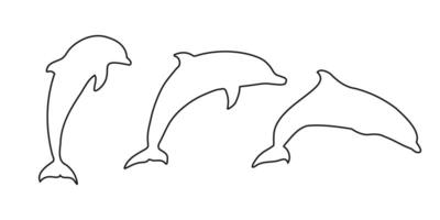Set of black outline dolphin icons on white background. Simple and elegant silhouettes representing marine life and ocean themes. Perfect for wildlife illustrations, graphic design, and projects vector